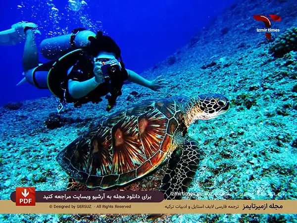 عکاسی از لاکپشت در ازمیر